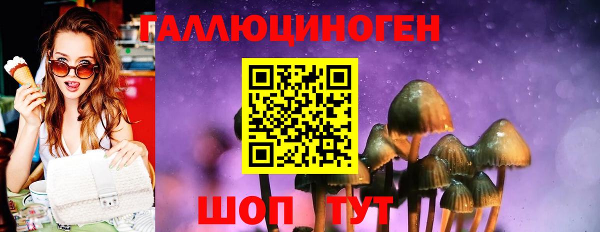 цены   Псилоцибиновые грибы мицелий  Вход с VPN  Сафоново 